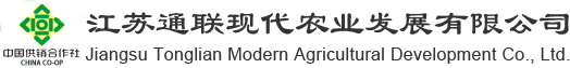 ʱӮִ